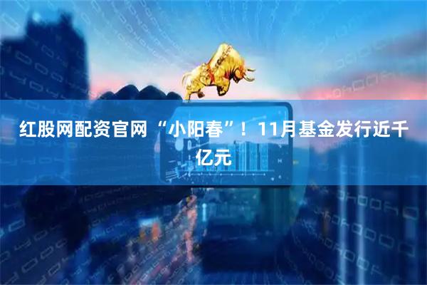 红股网配资官网 “小阳春”！11月基金发行近千亿元